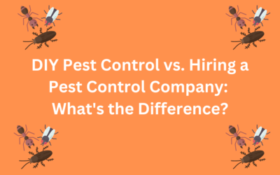 DIY Pest Control vs. Hiring a Pest Control Company