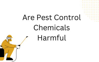 Are Pest Control Chemicals Harmful