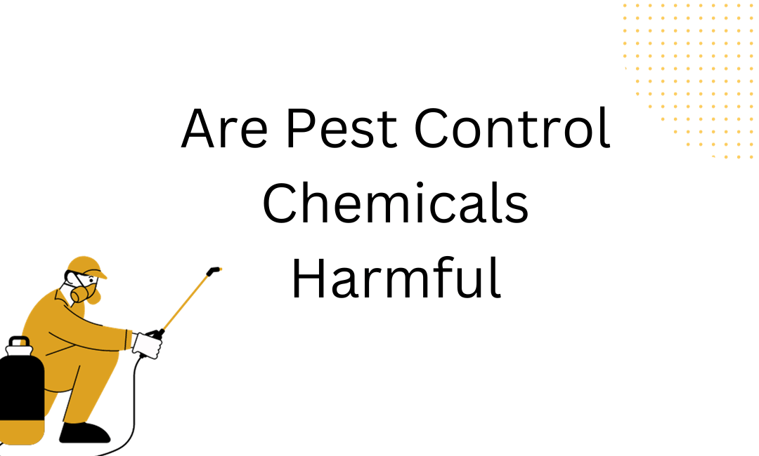 Are Pest Control Chemicals Harmful