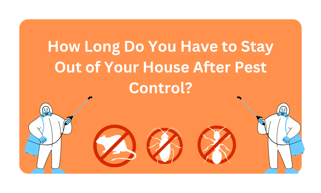 How Long Do You Have to Stay Out of Your House After Pest Control