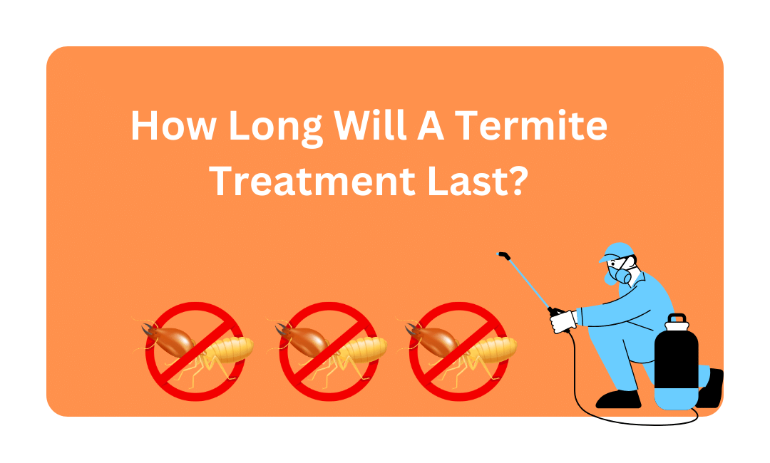 How Long Will A Termite Treatment Last