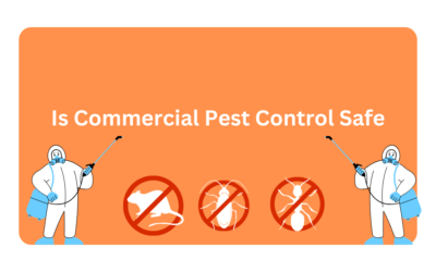 Is Commercial Pest Control Safe