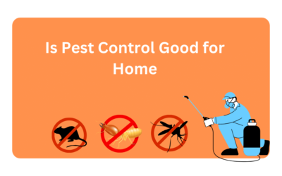 Is Pest Control Good for Home
