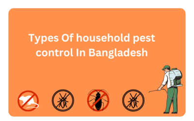 Types Of Household Pest Control In Bangladesh