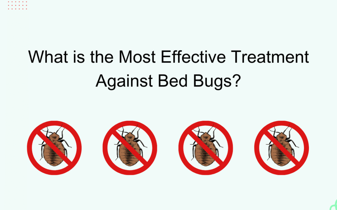 What is the Most Effective Treatment Against Bed Bugs