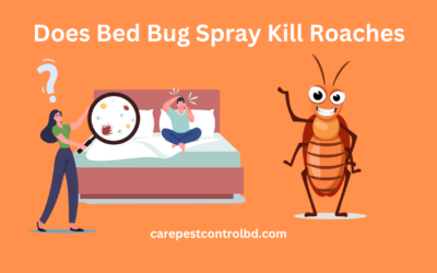 Does Bed Bug Spray Kill Roaches