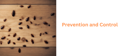 Prevention and Control Keeping Bed Bugs Out of Wood Floors