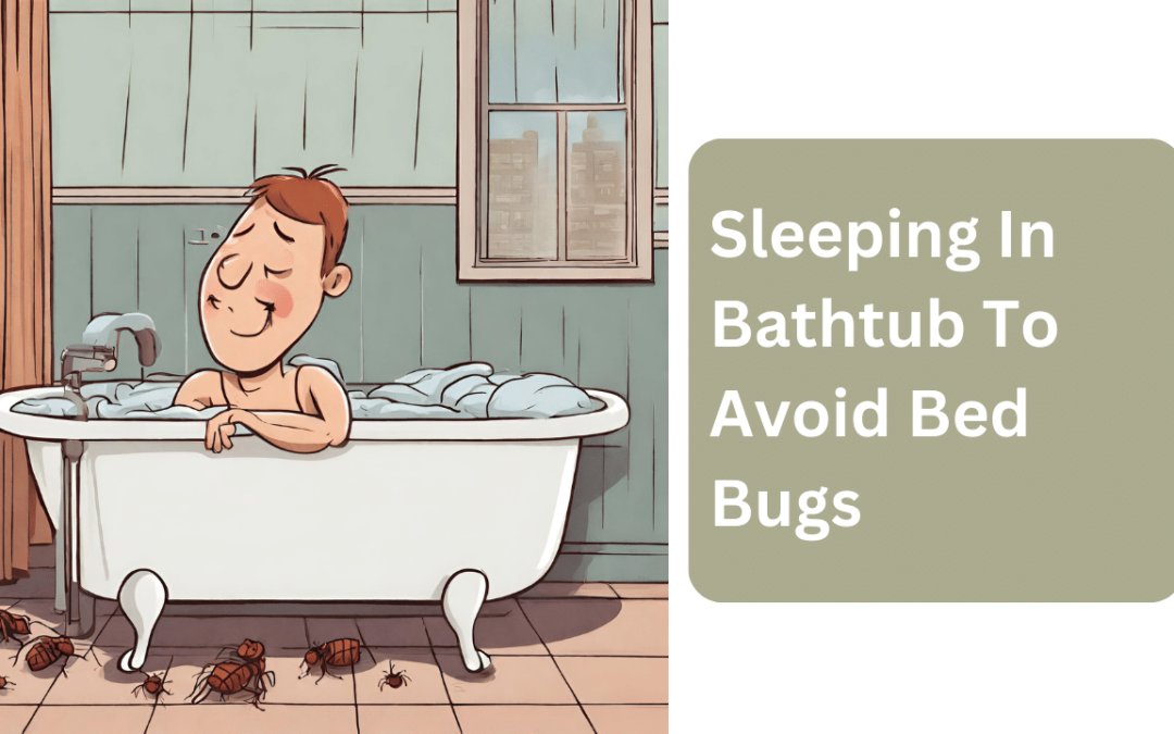 Can Sleeping In Bathtub To Avoid Bed Bugs