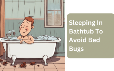Sleeping In Bathtub To Avoid Bed Bugs