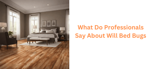 What Do Professionals Say About Will Bed Bugs Hide In Wood Floors