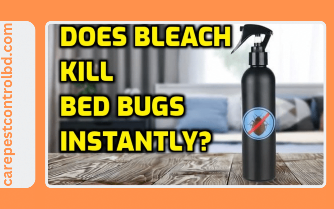 can bleach kill bed bugs