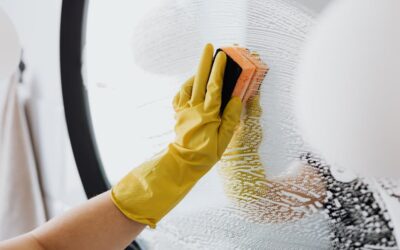 How to Prepare Your Home for Pest Control Services in Dhaka