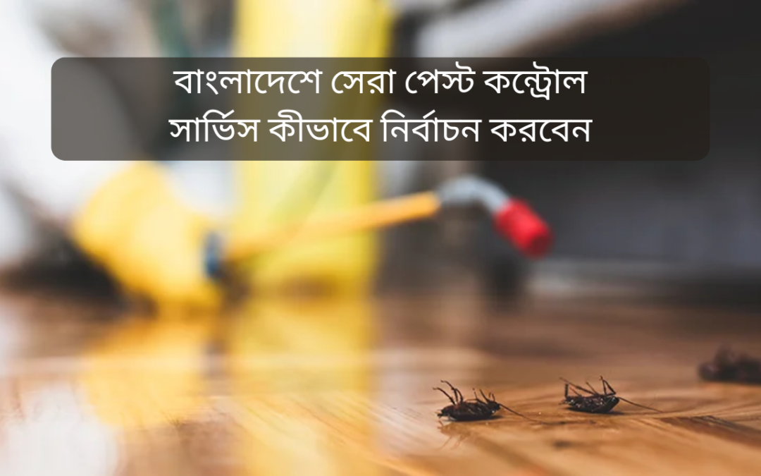 বাংলাদেশে সেরা পেস্ট কন্ট্রোল সার্ভিস কীভাবে নির্বাচন করবেন