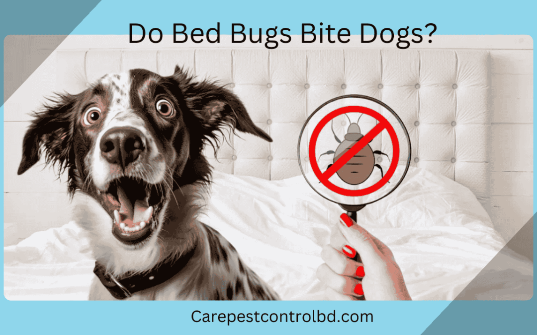 Do Bed Bugs Bite Dogs