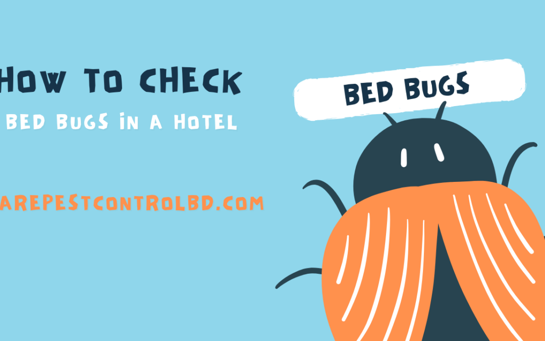 How to Check Bed Bugs in a Hotel