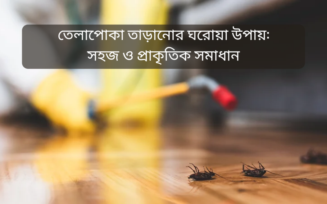 তেলাপোকা তাড়ানোর ঘরোয়া উপায়