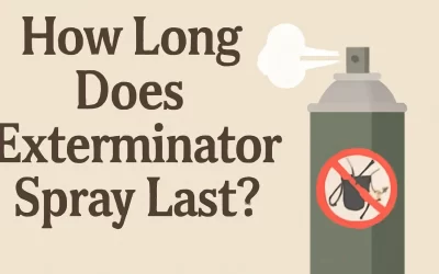 How Long Does Exterminator Spray Last?