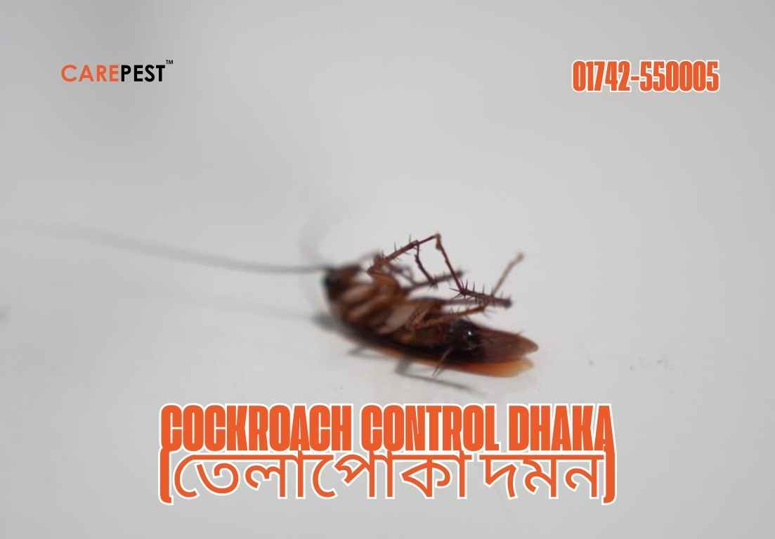 Cockroach Control Dhaka (তেলাপোকা দমন)
