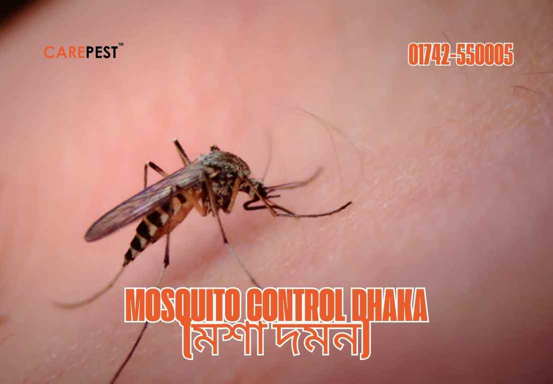 Mosquito Control Dhaka (মশা দমন)
